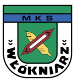 Logo klubu - WŁÓKNIARZ MIRSK