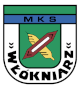 WŁÓKNIARZ MIRSK